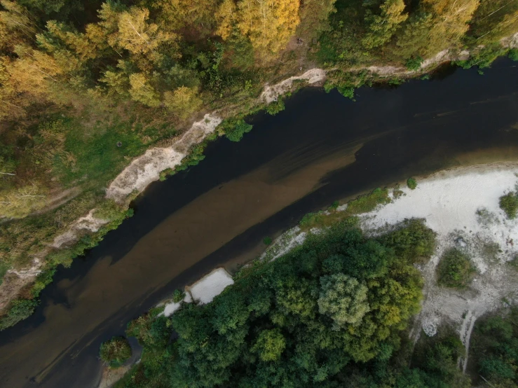 an aerial view shows some green trees and some brown water