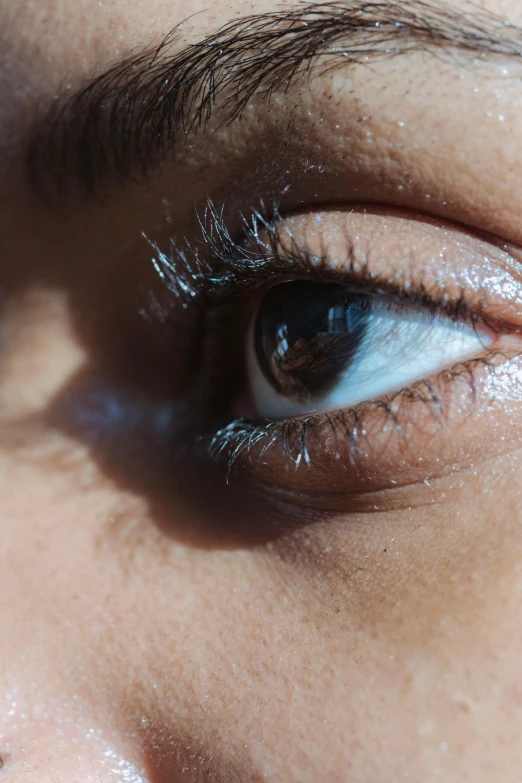 an open eye with brown hair and white lines on it