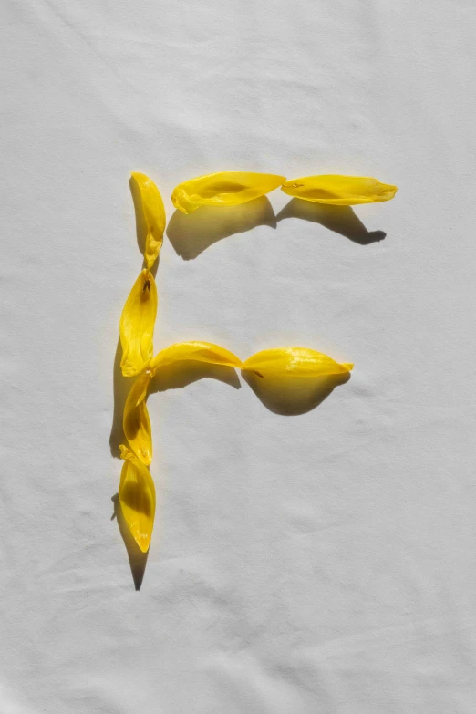 a pair of yellow bananas sticking out of a banana peel