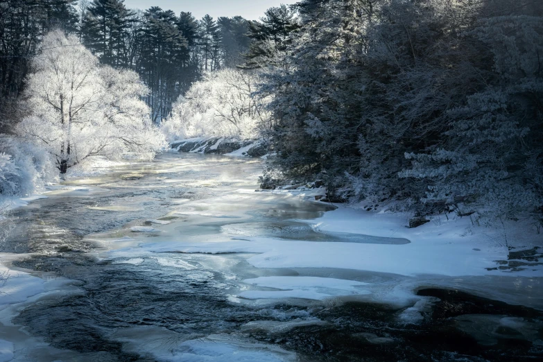 a stream in the snow that runs through between two evergreen trees