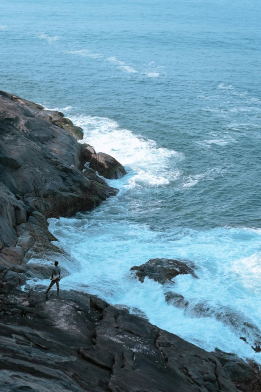 a bird on a rock near the ocean