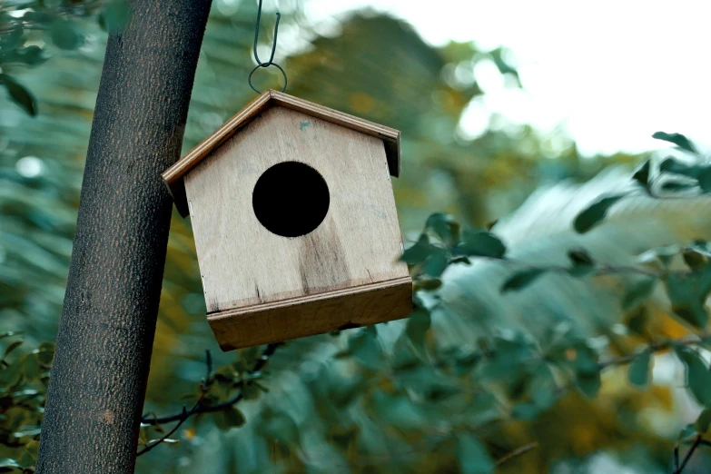 a birdhouse with a hole in it on a tree