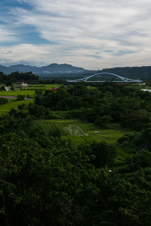 the countryside area is full of trees and green