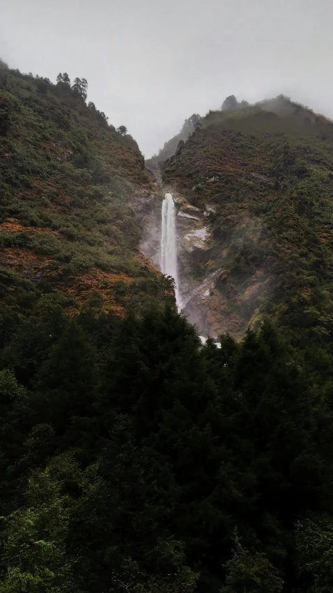 a small waterfall running into a large forest