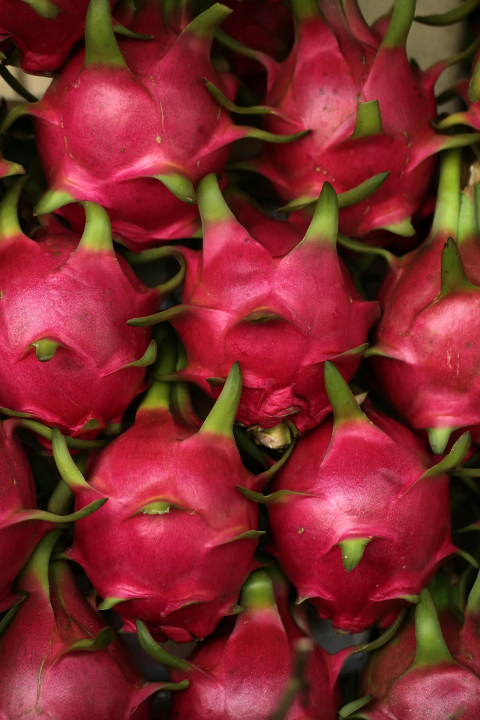 dragon fruit is shown stacked together for display