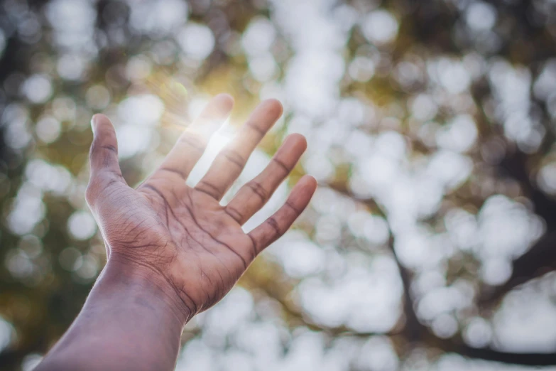 this hand is reaching upward into the sky