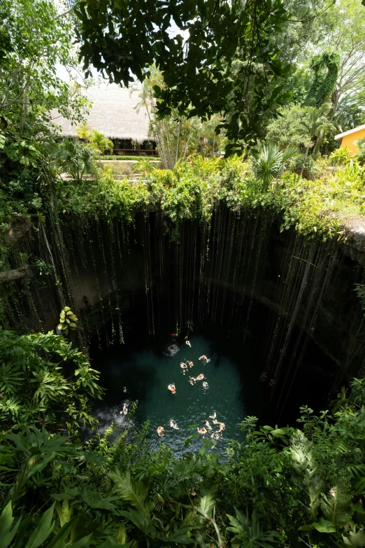 a large deep blue hole in the ground surrounded by trees