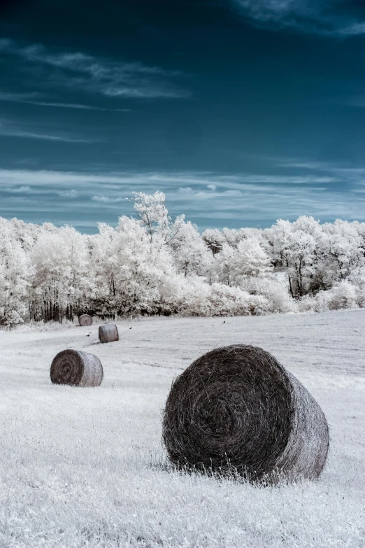 the hay rolls are next to the blue sky