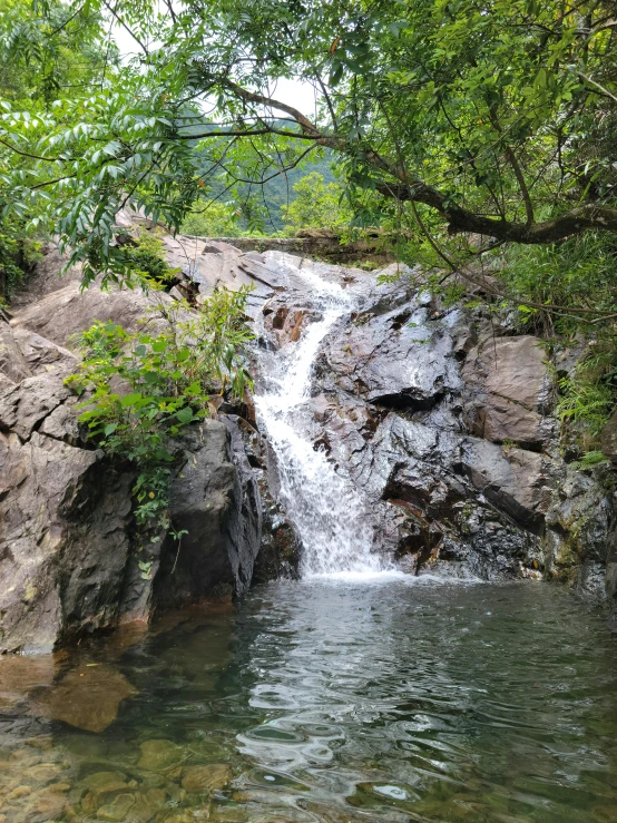 a waterfall is surrounded by green leaves, rocks and water