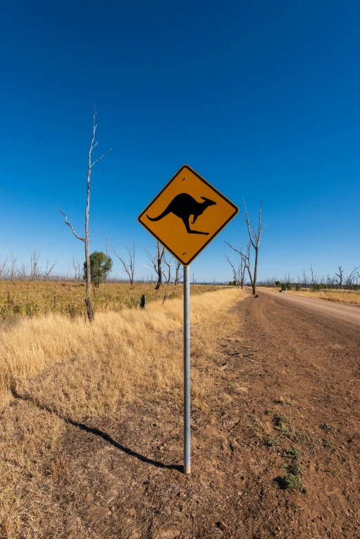 a yellow kangaroo warning sign sitting in the middle of the dirt road