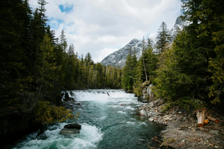 there is a river that runs beside some trees