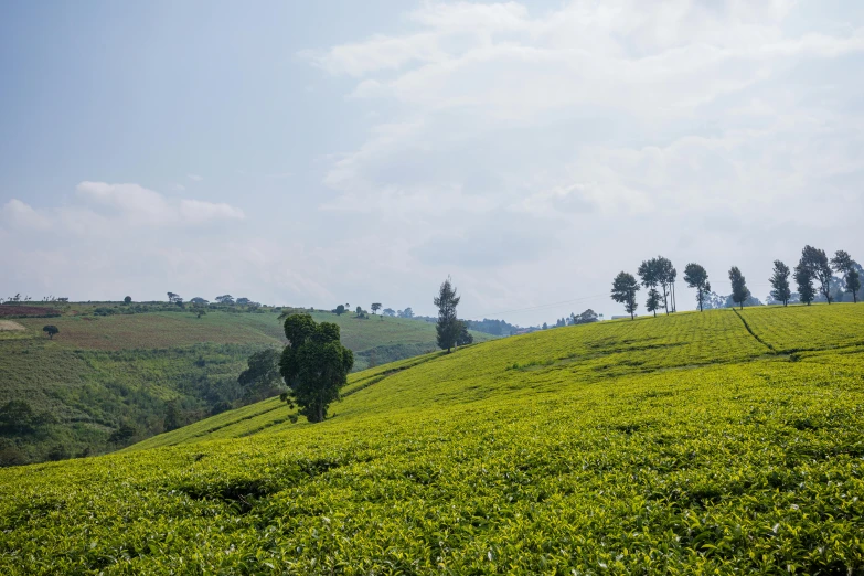 the rolling green hills are near one another