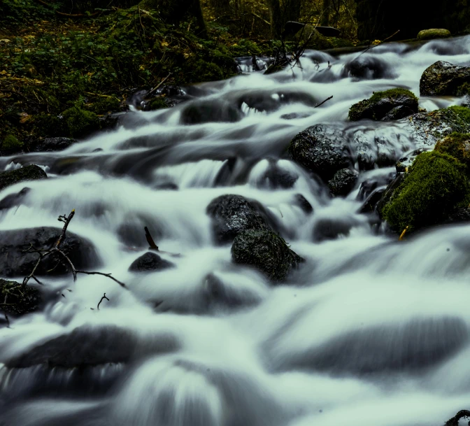 the water is flowing through the woods