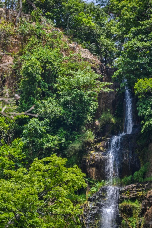 a man standing in front of a waterfall