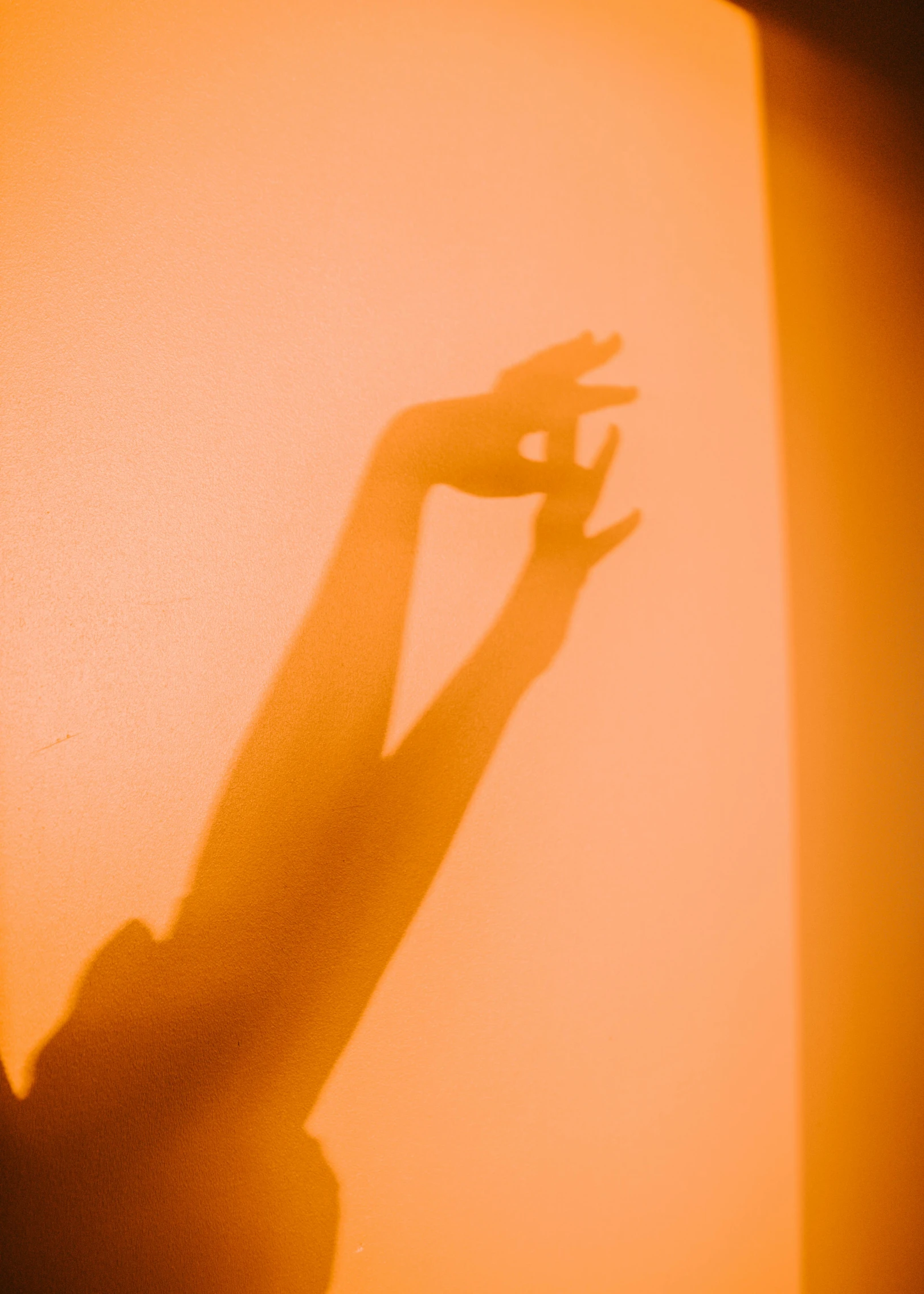 a person's shadow on a wall and a light background