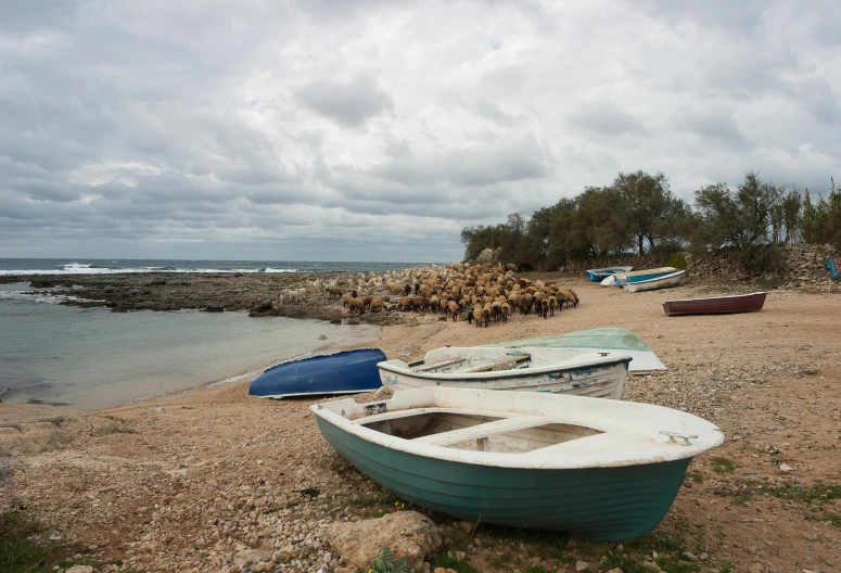 a couple of boats are sitting on the shore of the beach