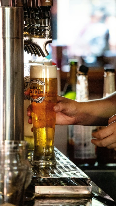 person pouring beer into glass from taps at bar