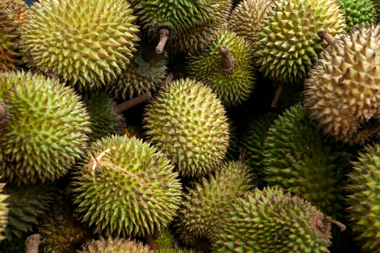 many pieces of durian fruit arranged in a pile