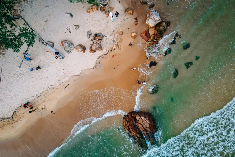 a beach area with a view of people and animals