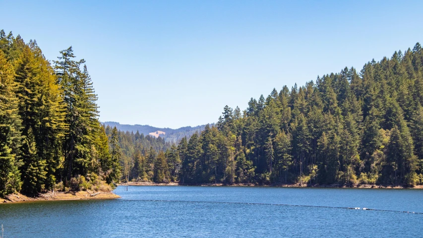 trees and water near the mountains in the background