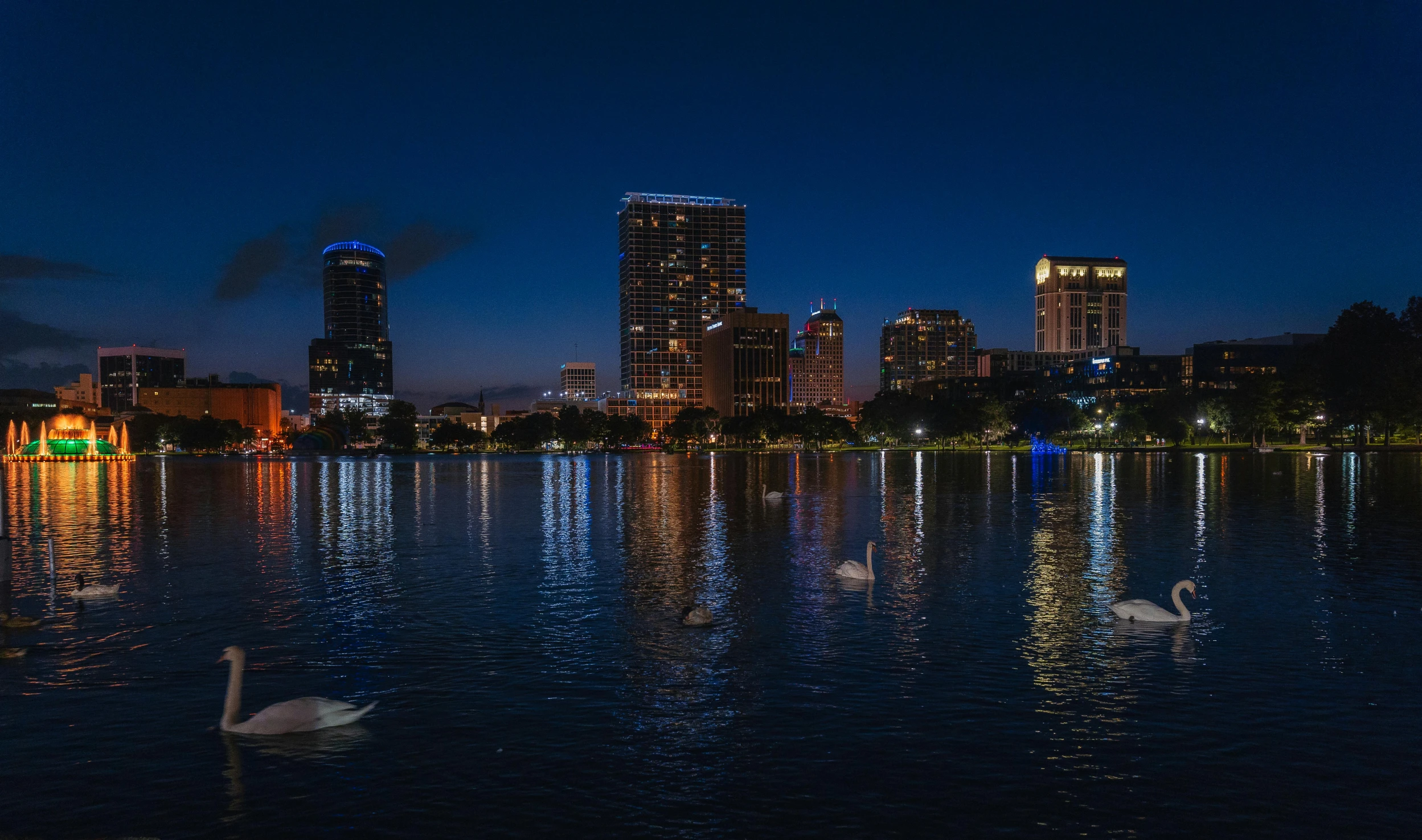 there are swans swimming in the water by a city