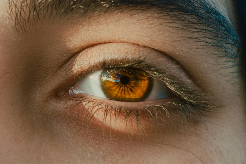 an orange eye with blue streaks in the iris