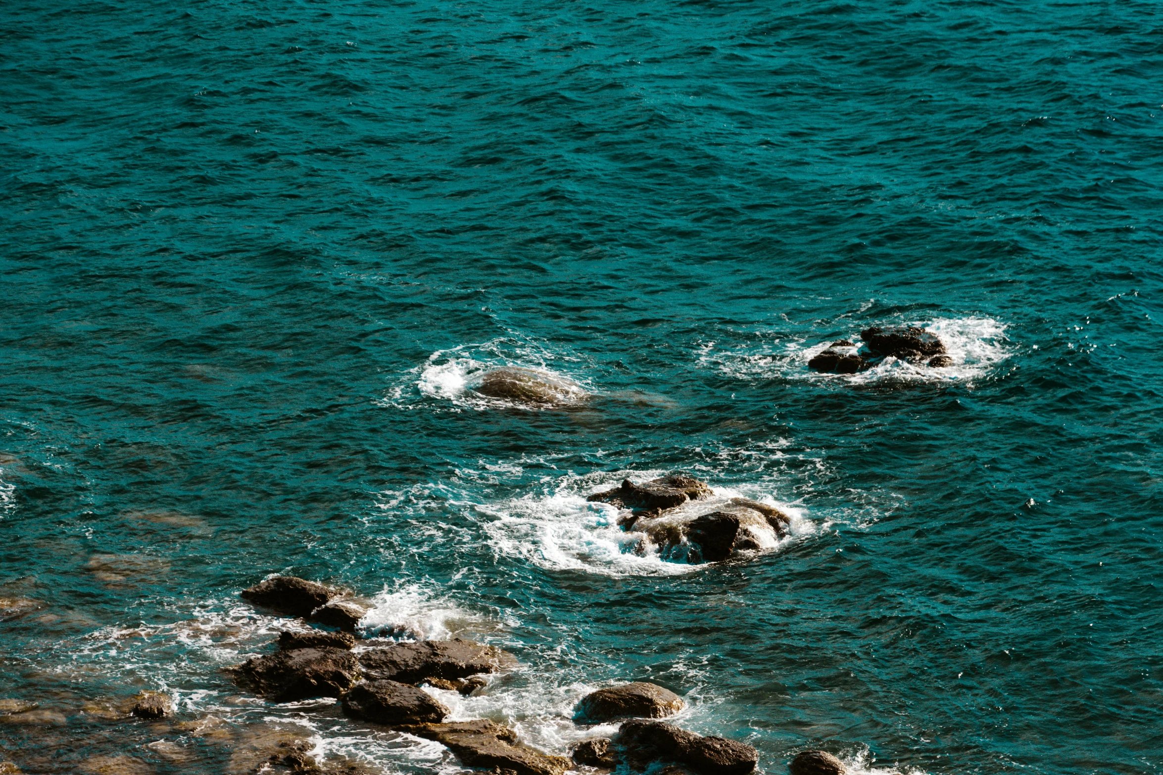 several sea creatures swimming in the water off rocks