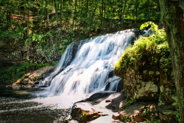 there is a waterfall that is in the middle of some trees