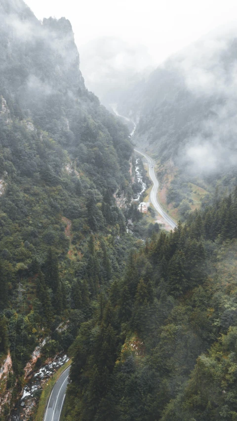 a winding road next to trees in the mountains