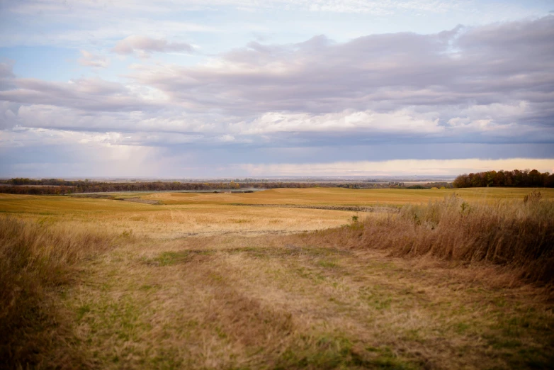 an empty field with a pathway going into the horizon