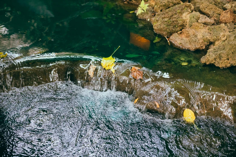 two pieces of green plastic float in the water