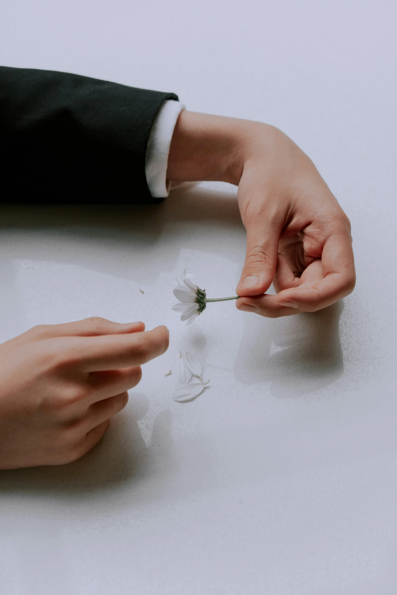 a person's hands touching soing while they sit next to a flower