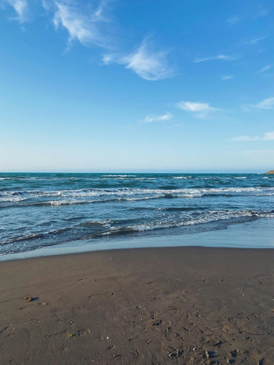 a bird is standing at the edge of a beach