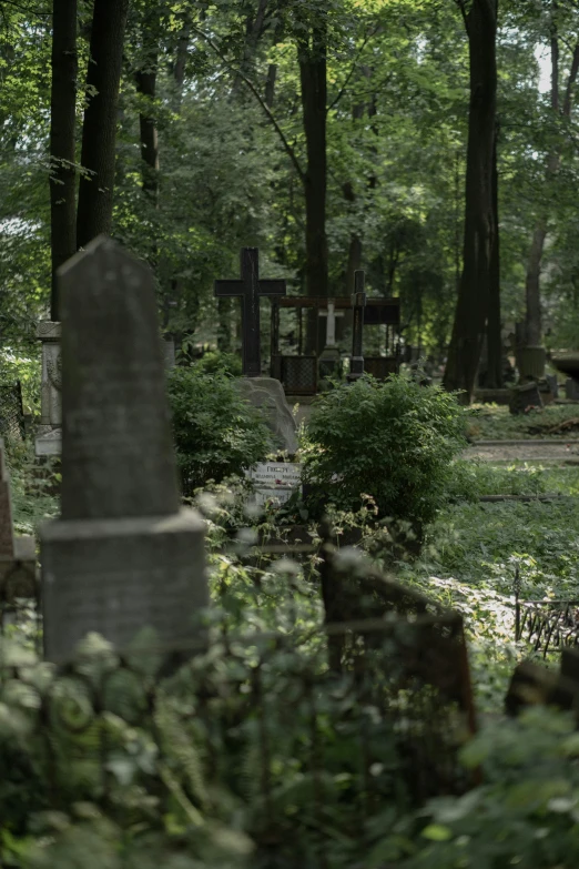a cemetery sits in the middle of a grassy field