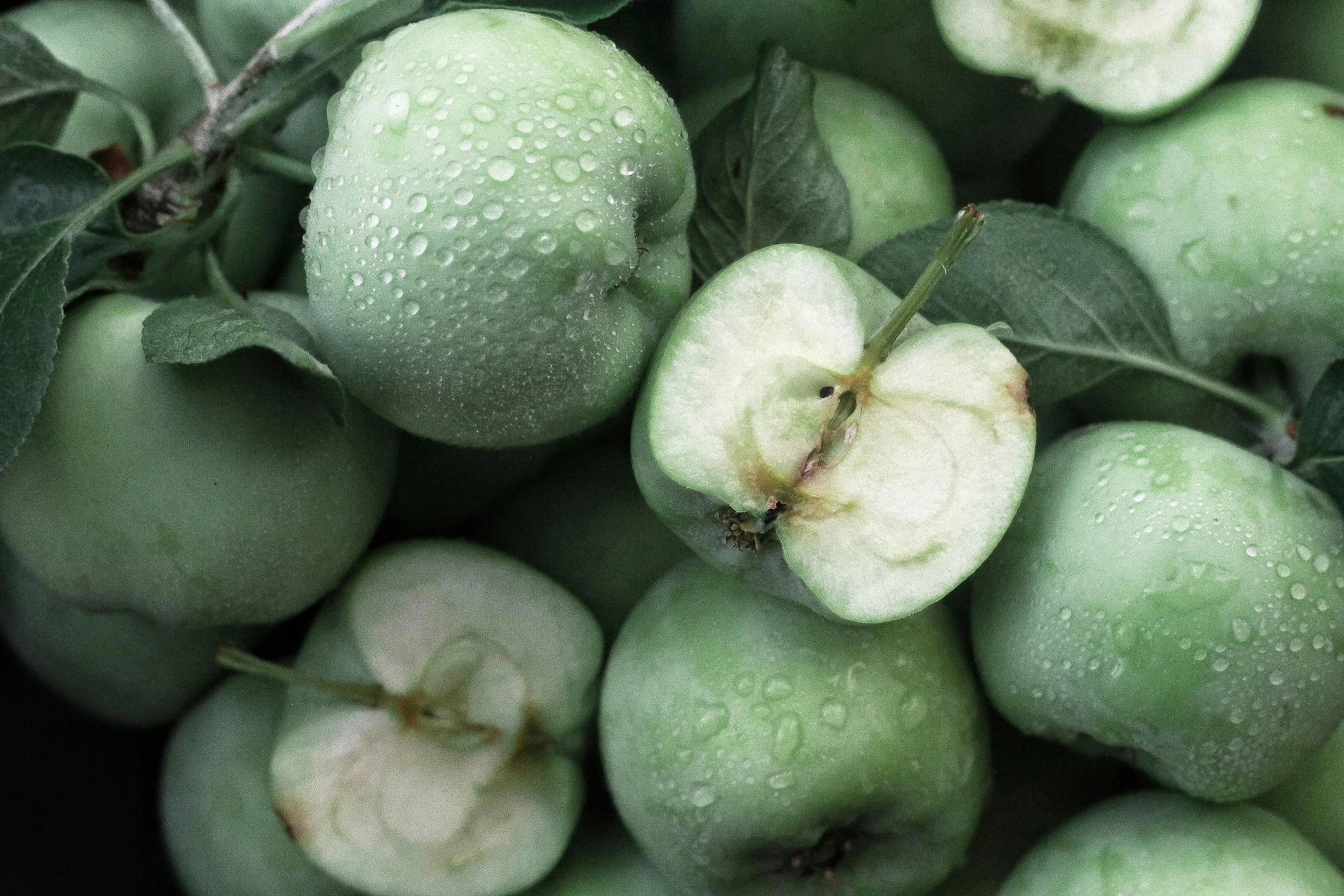 a pile of green apples sitting on top of a leafy tree