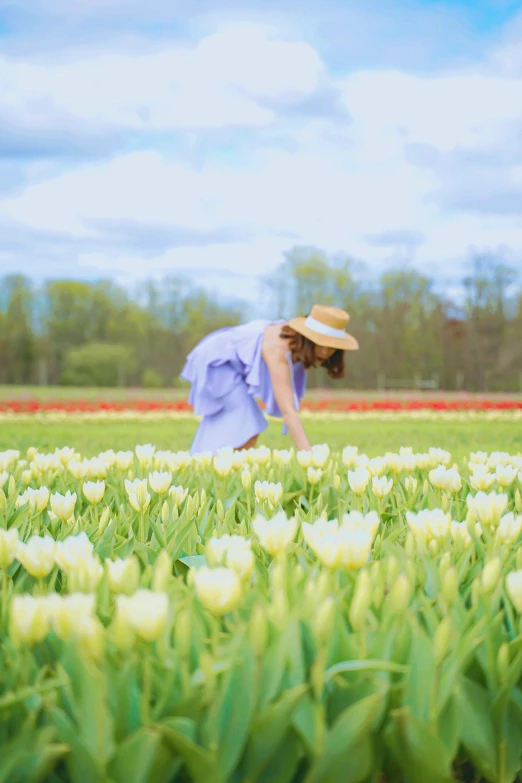 a woman in a straw hat picking white flowers