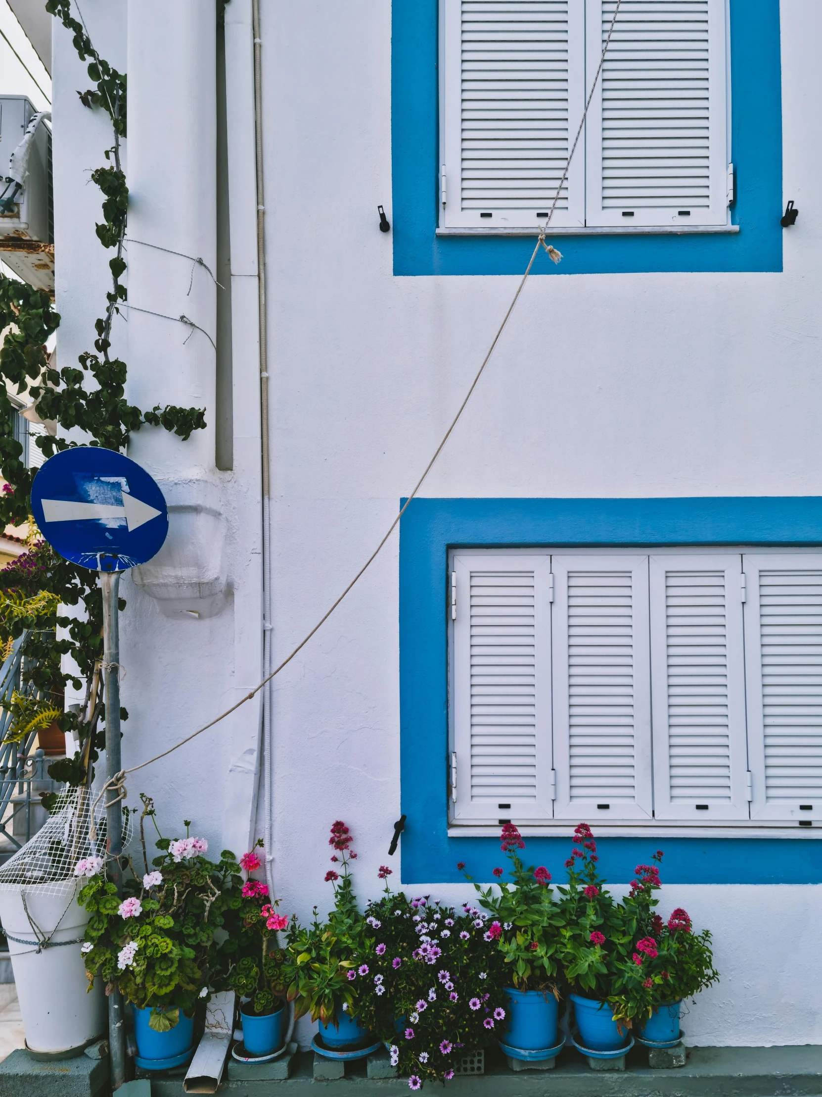 flowers are growing in flower pots along a building