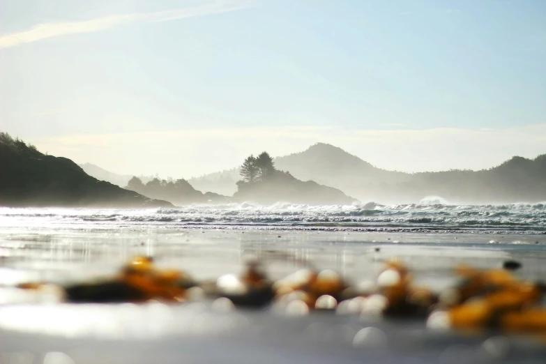 beach, sun and waves with small yellow buoys