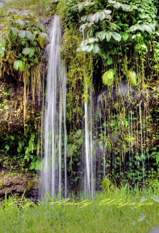 a small waterfall that has fallen over in the jungle