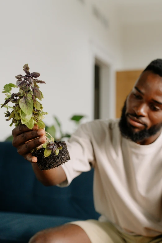 a man holding a plant in his hand