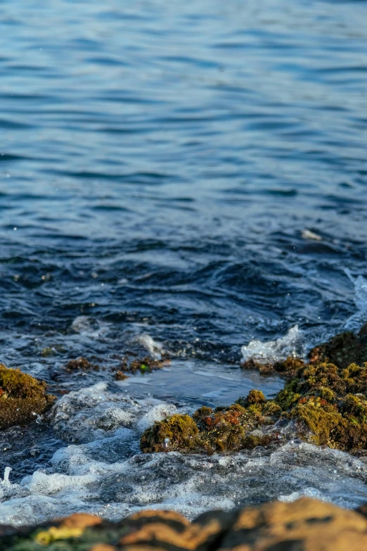 a rock sticking out of a body of water