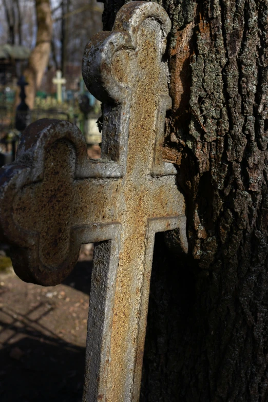 a cross is attached to a tree near a graveyard