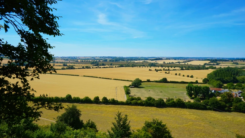 a landscape pograph shows an expanse of trees and rolling hills in the background