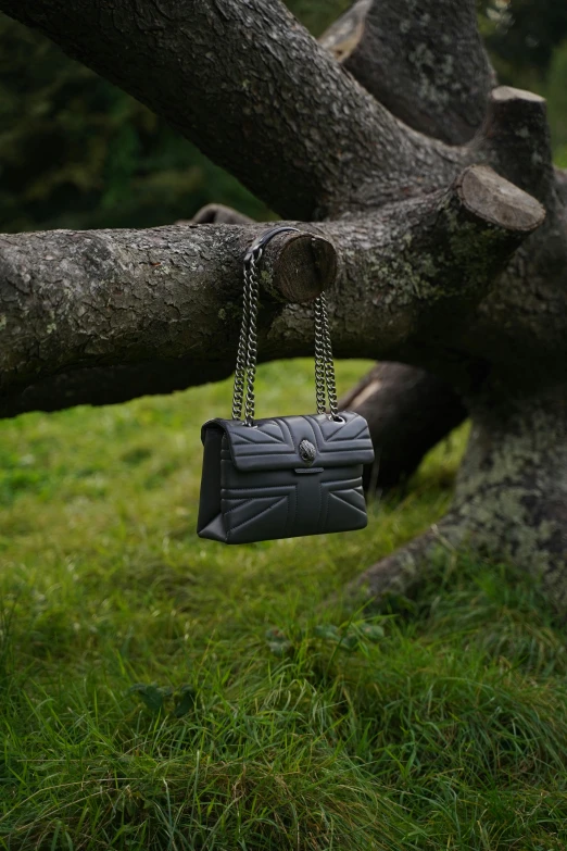 a bag hanging from a nch of tree with grass behind it