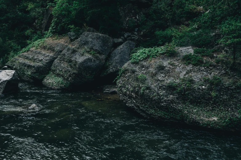 rocks are near the river and trees