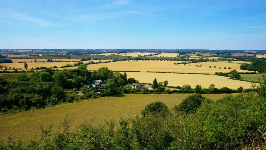 a landscape image with several fields and trees