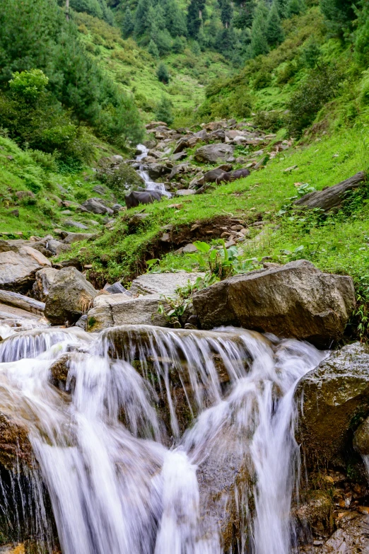 a waterfall falls into a mountain stream