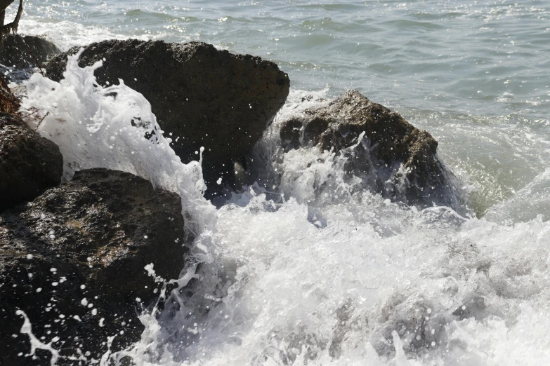 rocks in the water with a bird perched on them