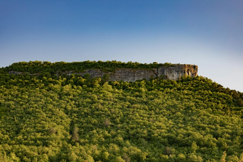 a green hill with trees on it in the daytime