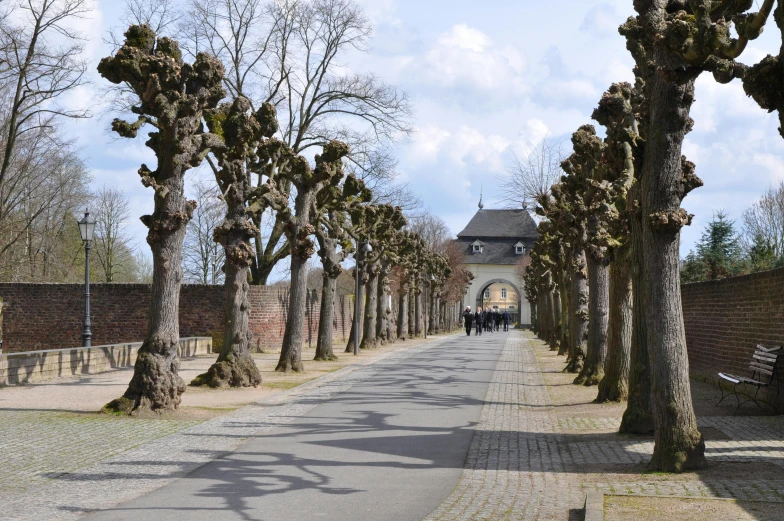 a paved road with many trees along the side